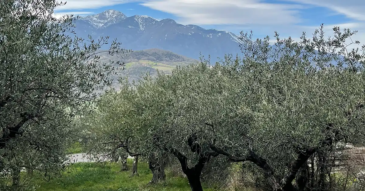 Spiritual Retreat in Italy - The Hamilton Parker Foundation